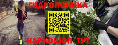 эйфоретик Моздок