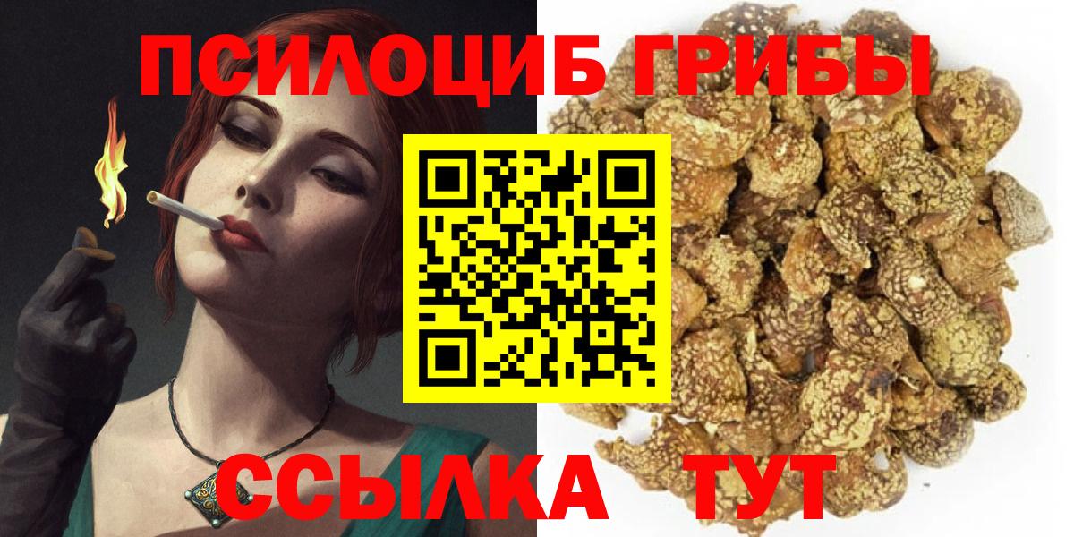 Галлюциногенные грибы Psilocybine cubensis  Вход с VPN  Чистополь 
